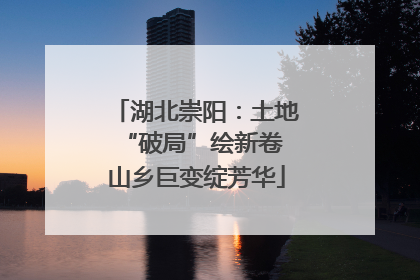 湖北崇阳：土地“破局”绘新卷 山乡巨变绽芳华
