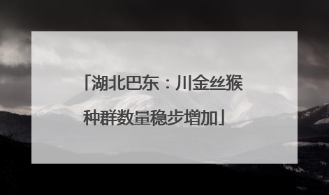 湖北巴东：川金丝猴种群数量稳步增加