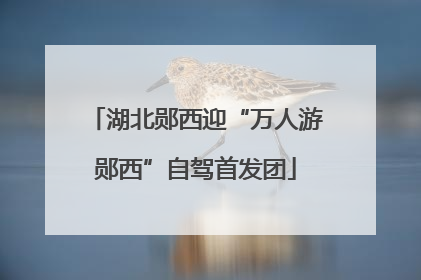 湖北郧西迎“万人游郧西”自驾首发团