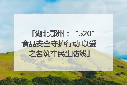 湖北鄂州：“520”食品安全守护行动 以爱之名筑牢民生防线