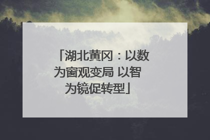 湖北黄冈：以数为窗观变局 以智为镜促转型