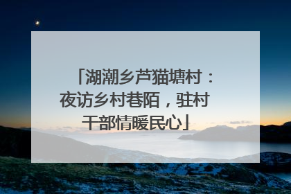 湖潮乡芦猫塘村：夜访乡村巷陌，驻村干部情暖民心