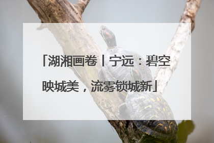 湖湘画卷丨宁远：碧空映城美，流雾锁城新
