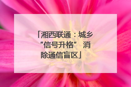 湘西联通：城乡“信号升格” 消除通信盲区