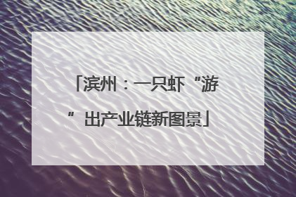 滨州：一只虾“游”出产业链新图景