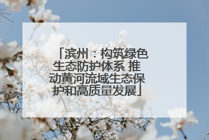 滨州：构筑绿色生态防护体系 推动黄河流域生态保护和高质量发展