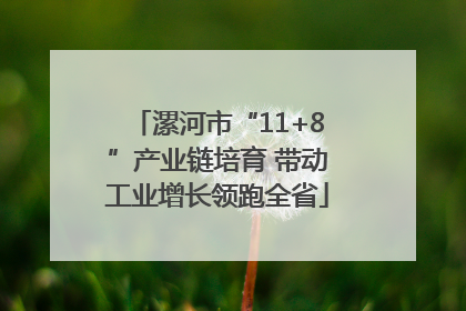 漯河市“11+8”产业链培育 带动工业增长领跑全省