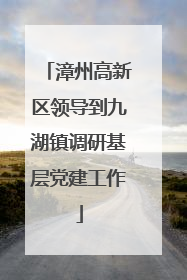 漳州高新区领导到九湖镇调研基层党建工作