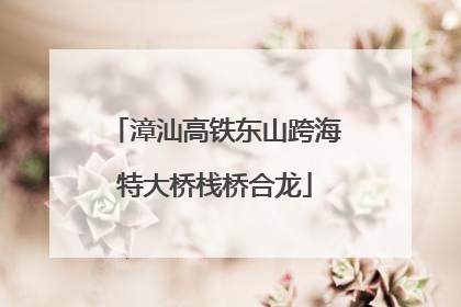 漳汕高铁东山跨海特大桥栈桥合龙