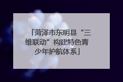 菏泽市东明县“三维联动”构建特色青少年护航体系