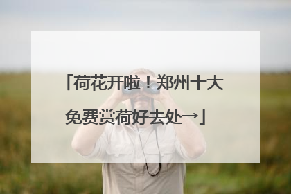 荷花开啦！郑州十大免费赏荷好去处→