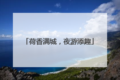 荷香满城，夜游添趣