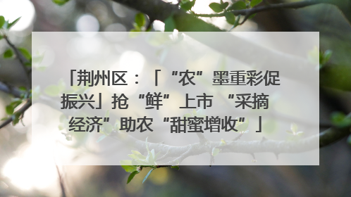 荆州区：「“农”墨重彩促振兴」抢“鲜”上市 “采摘经济”助农“甜蜜增收”