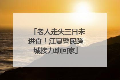 老人走失三日未进食！江夏警民跨城接力助回家