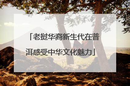 老挝华裔新生代在普洱感受中华文化魅力
