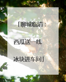 聊城临清：西瓜送一线 冰块进车间