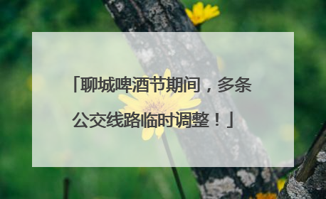 聊城啤酒节期间，多条公交线路临时调整！