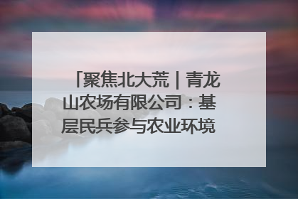 聚焦北大荒｜青龙山农场有限公司：基层民兵参与农业环境综合治理显效