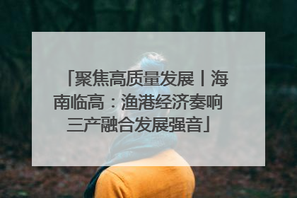 聚焦高质量发展丨海南临高：渔港经济奏响三产融合发展强音