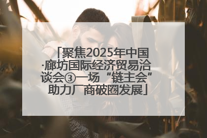 聚焦2025年中国·廊坊国际经济贸易洽谈会③一场“链主会” 助力厂商破圈发展