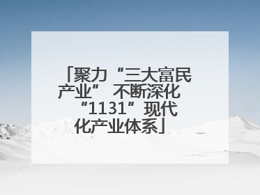 聚力“三大富民产业” 不断深化“1131”现代化产业体系