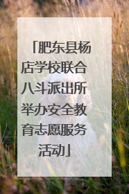 肥东县杨店学校联合八斗派出所举办安全教育志愿服务活动