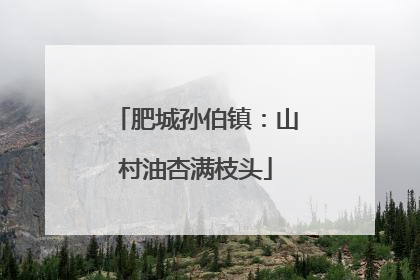 肥城孙伯镇：山村油杏满枝头