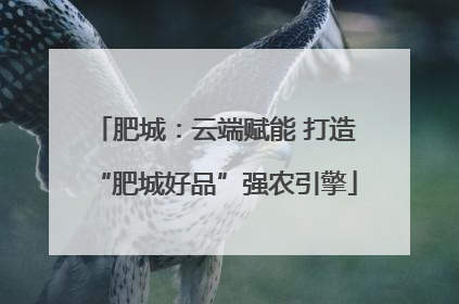 肥城：云端赋能 打造“肥城好品”强农引擎
