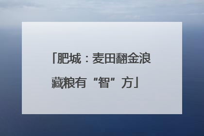 肥城：麦田翻金浪藏粮有“智”方
