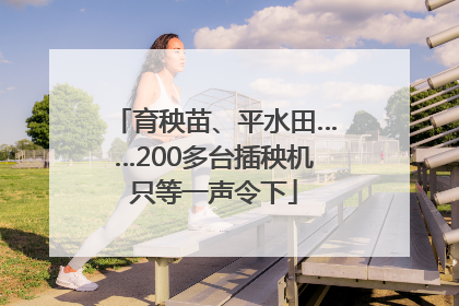 育秧苗、平水田……200多台插秧机只等一声令下