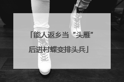 能人返乡当“头雁” 后进村蝶变排头兵