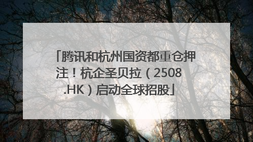 腾讯和杭州国资都重仓押注！杭企圣贝拉（2508.HK）启动全球招股