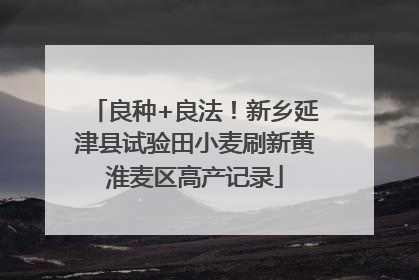 良种+良法！新乡延津县试验田小麦刷新黄淮麦区高产记录