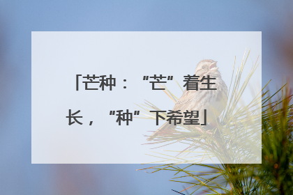 芒种：“芒”着生长，“种”下希望