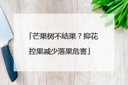 芒果树不结果？抑花控果减少落果危害