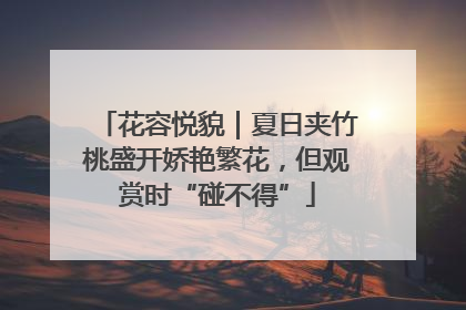 花容悦貌｜夏日夹竹桃盛开娇艳繁花，但观赏时“碰不得”