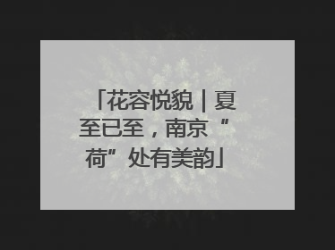花容悦貌｜夏至已至，南京“荷”处有美韵