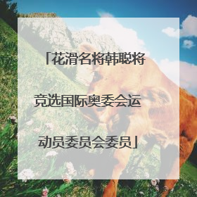 花滑名将韩聪将竞选国际奥委会运动员委员会委员