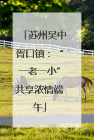 苏州吴中胥口镇：“一老一小”共享浓情端午