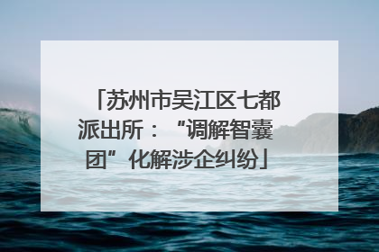 苏州市吴江区七都派出所：“调解智囊团”化解涉企纠纷