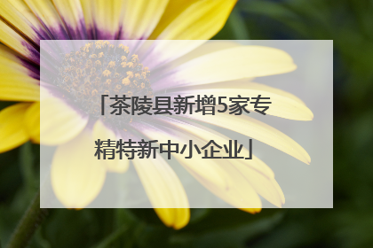 茶陵县新增5家专精特新中小企业