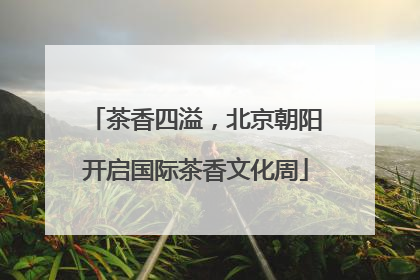 茶香四溢，北京朝阳开启国际茶香文化周