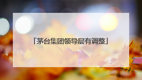 茅台集团领导层有调整