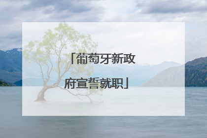 葡萄牙新政府宣誓就职