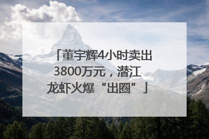 董宇辉4小时卖出3800万元，潜江龙虾火爆“出圈”