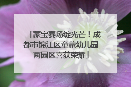 蒙宝赛场绽光芒！成都市锦江区童蒙幼儿园两园区喜获荣耀