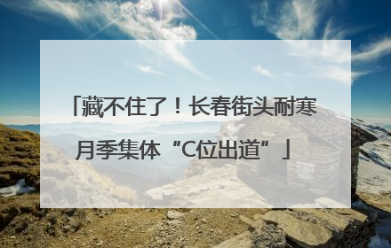 藏不住了！长春街头耐寒月季集体“C位出道”