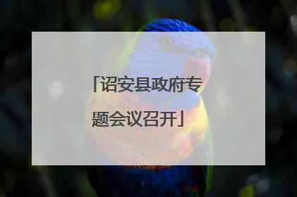 诏安县政府专题会议召开