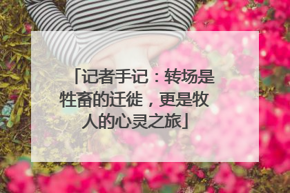 记者手记：转场是牲畜的迁徙，更是牧人的心灵之旅