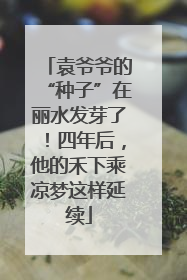 袁爷爷的“种子”在丽水发芽了！四年后，他的禾下乘凉梦这样延续